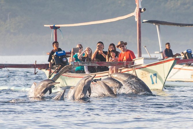 Amazing Private Tours: Dolphins Lovina and Gitgit Waterfall include Lunch - 2:30am Lovina dolphin watching: sunrise vibes and offshore action