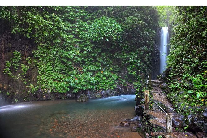 Amazing Private Tours: Dolphins Lovina and Gitgit Waterfall include Lunch - Lunch plus Candikuning market: the practical middle of the day