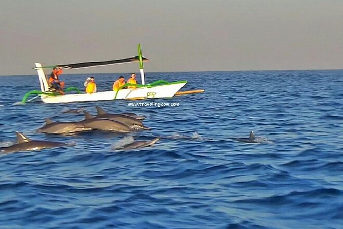 Amazing Private Tours: Dolphins Lovina and Gitgit Waterfall include Lunch - Who this private dolphins and Gitgit tour is best for