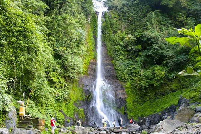 Amazing Private Tours: Dolphins Lovina and Gitgit Waterfall include Lunch - Ulundanu Beratan temple and the garden pause: peaceful, scenic, and a good reset