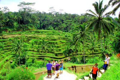 ATV Quad Bike with Kintamani Volcano Tour - All Inclusive - Dadi Bali Adventures: Jungle ATV on a 9 km, Water-Heavy Course