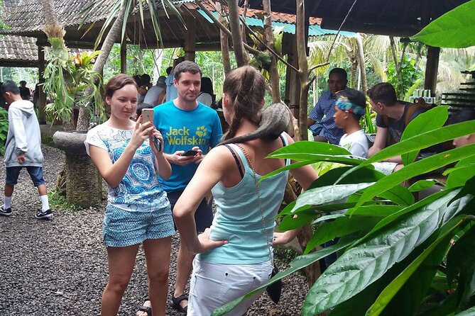 ATV Quad Bike with Kintamani Volcano Tour - All Inclusive - Lunch, Coffee Tester, and the Included Extras That Save You Money