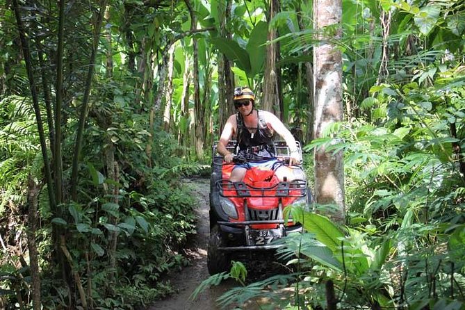 ATV Tour with Monkey Forest Experience in Bali - Lunch and wash-up: why the facilities matter more than you think