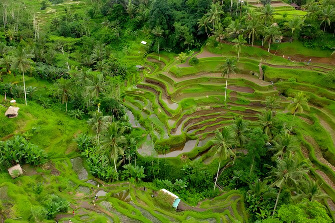 Ayung River Rafting and Kintamani Volcano Trip - Tegalalang Rice Terraces and Tegenungan Waterfall: Photo Stops With Real Breathing Room