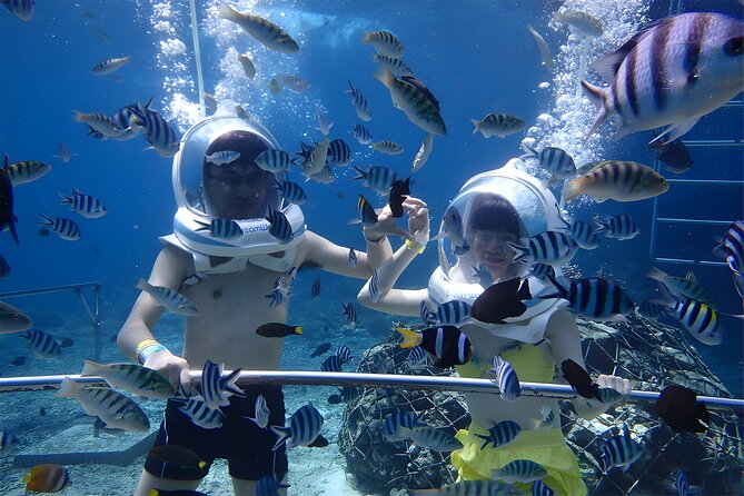 Bali Activity: Bali Sea Walking in Nusa Dua Ocean - Sea Walking in Nusa Dua: What You’re Really Doing Underwater