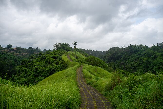 Bali Airport Pickup Transfer to Ubud Area (Private) - From Ngurah Rai Airport to Ubud: timing, traffic, and what to expect