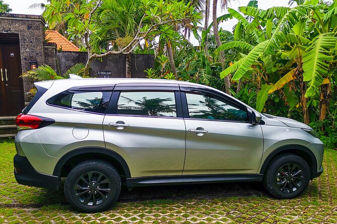 Bali Airport Transfer Service - Driver experience: punctual, friendly, and a language reality check