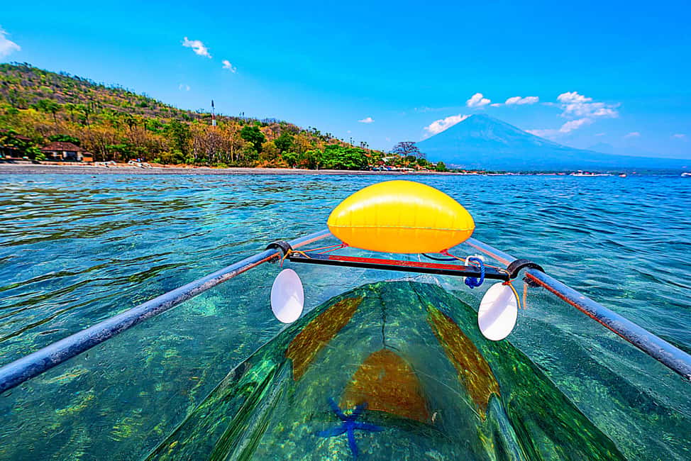 Bali/Amed: Transparent Kayak Experience - The Basics: $8 for 1 Hour on a Transparent Craft