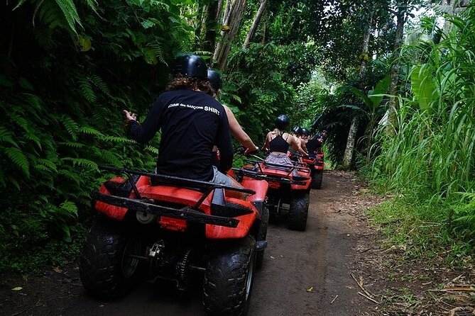 Bali ATV Quad Bike Adventure with Gorilla Cave Pass By Waterfall - Price in Context: Is $55.37 Good Value?
