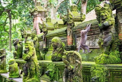 Bali ATV Quad Bike Ubud Swing & Monkey Forest All Inclusive - The ATV ride in Ubud: what you’re really paying for