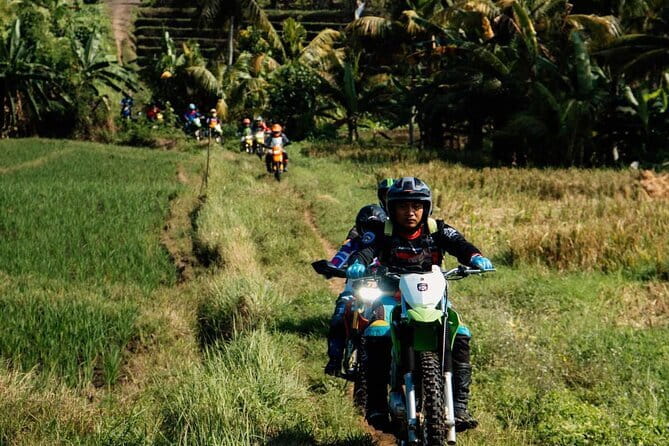 Bali ATV Quad Bike Ubud Swing & Monkey Forest All Inclusive - When you combine ATV, monkeys, and the swing: comfort tricks that make the day easier