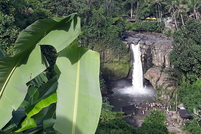 Bali ATV Rafting And Ubud Waterfall Private Tour - Who This Tour Suits Best (And Who Might Feel Crowded)