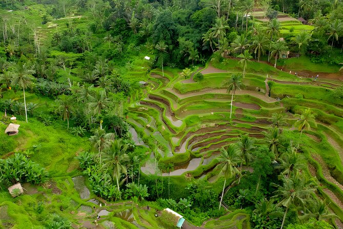 Bali ATV Ride And Ubud Tour Packages : Best Quad Bike Trip - How This Private ATV and Ubud Day Works (and Why It’s a Good Value)