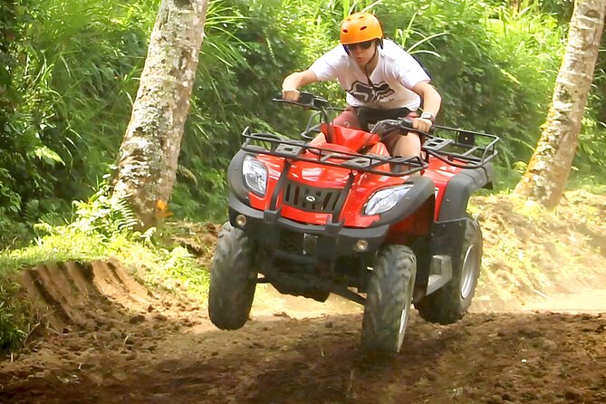 Bali ATV Ride And Ubud Tour Packages : Best Quad Bike Trip - Tegalalang Rice Terrace: The Photo Stop That Makes People Believe Bali