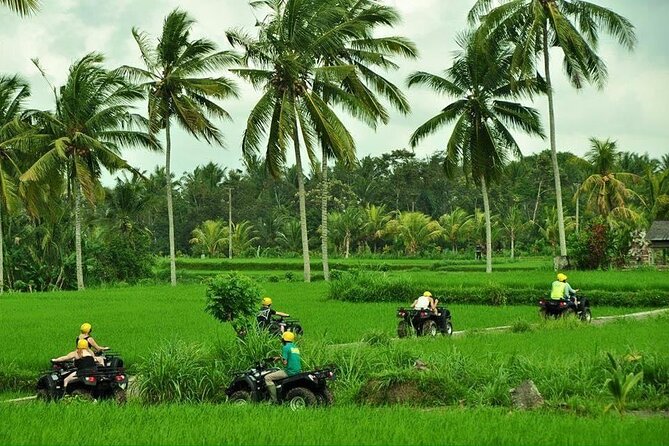 Bali ATV Ride tour Ubud - Getting Oriented: Seminyak Area Pickup and the Bali Pertiwi Start