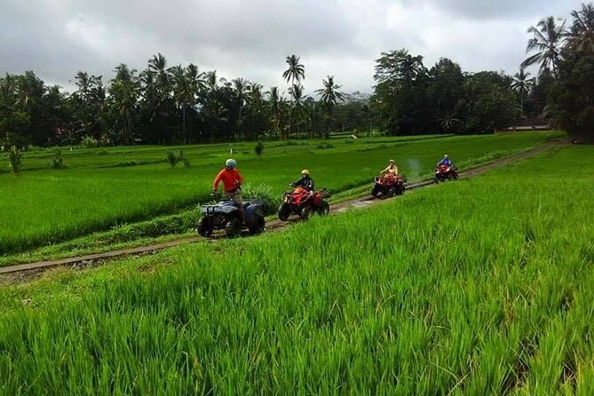 Bali ATV Ride tour Ubud - Price and Value: Why $37.29 Can Make Sense Here