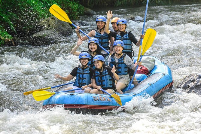 Bali: Ayung River White Water Rafting Adventure - Hitting the Ayung River: What the Grade II–III Rapids Actually Means