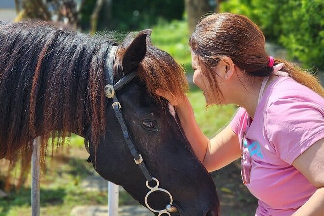 Bali Beach Horse Riding combo with waterfall All Inclusive - Who this tour suits best (and who should think twice)
