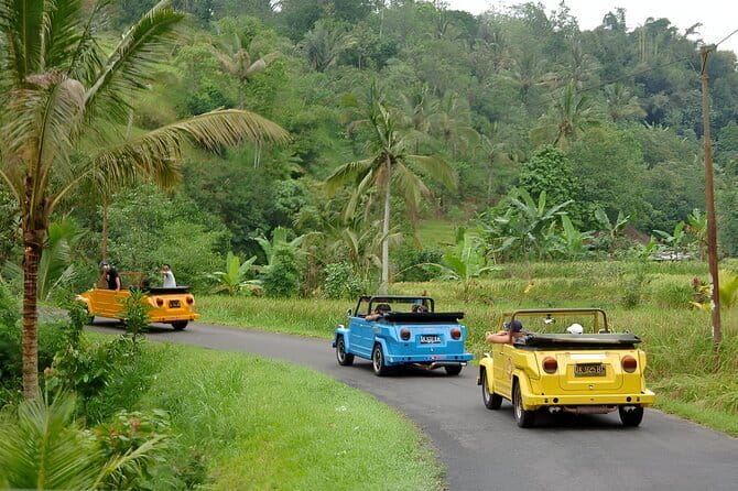 Bali: Bedugul Temple, Banyumala Waterfall, UNESCO Rice Terrace - Price and value at $39 per person: what you get, what to budget