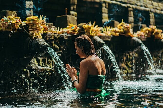 Bali: Bedugul Temple, Banyumala Waterfall, UNESCO Rice Terrace - Who this tour is best for (and who should pick something else)