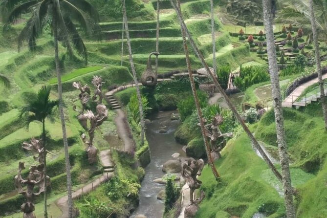 Bali Benoa Shore Excursion for Cruise's Passenger - All Inclusive - Tegalalang Rice Terraces Lunch: Where the View Is Part of the Meal