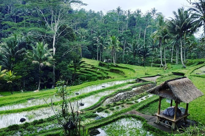 Bali: Best Eastern Waterfalls with Private Bali Tours - Tibumana Waterfall: Jungle Green and Stairs Into the Falls