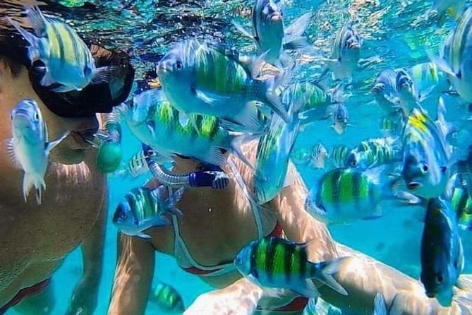 Bali Best Snorkeling at Blue Lagoon - Key things to know before you go