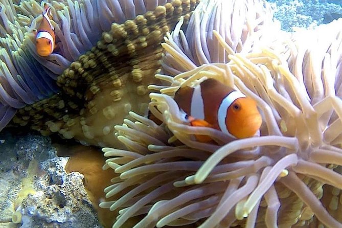 Bali Best Snorkeling at Blue Lagoon - Blue Lagoon Beach: the main reason this outing feels relaxed