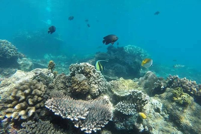 Bali Best Snorkeling at Blue Lagoon - How long it takes (and where time goes)