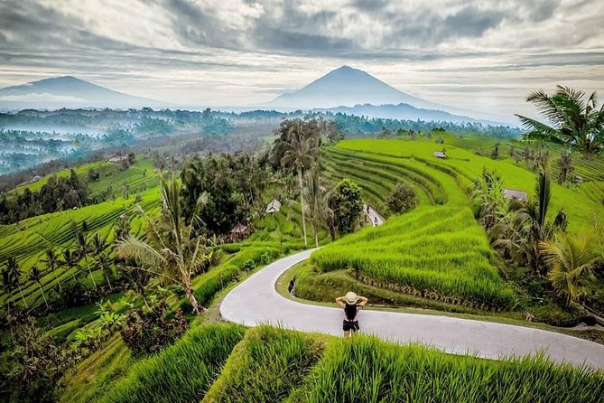 Bali BEST Things to Do Private Full-day Tour from Your Hotel - Tegalalang Rice Terraces and the Swing Upgrade