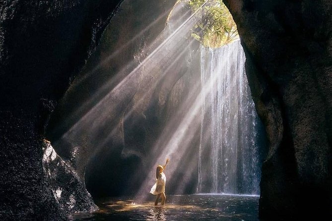Bali BEST Things to Do Private Full-day Tour from Your Hotel - Ubud Monkey Forest: A Rain Forest Walk With Monkeys in the Mix