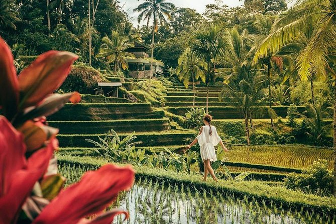 Bali BEST Things to Do Private Full-day Tour from Your Hotel - East Bali Must-Sees: Tirta Gangga and Tirta Gangga Water Palace
