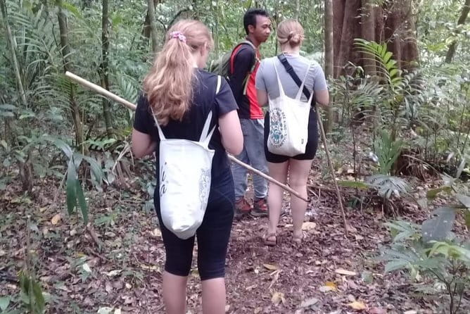 Bali Blue Lagoon Snorkeling and Waterfall Day Tour with Lunch - Tibumana Waterfall: a quieter finish with a natural pool