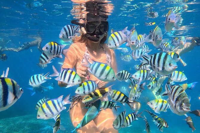 Bali Blue Lagoon Snorkeling - Lunch and Transport All Inclusive - Key reasons this Blue Lagoon snorkeling day gets booked