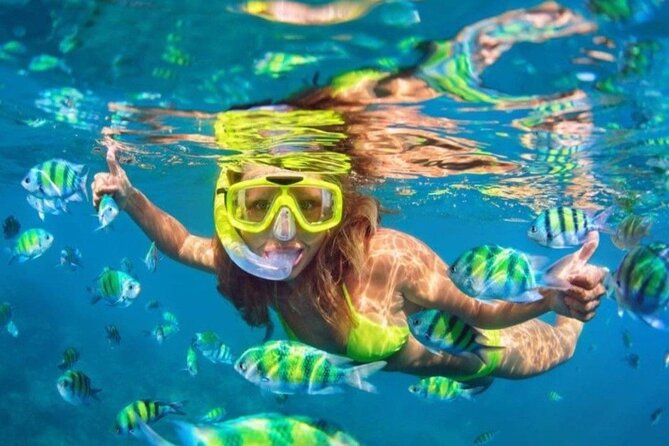 Bali Blue Lagoon Snorkeling - Lunch and Transport All Inclusive - Why Blue Lagoon snorkeling and Lempuyang Temple fit together so well