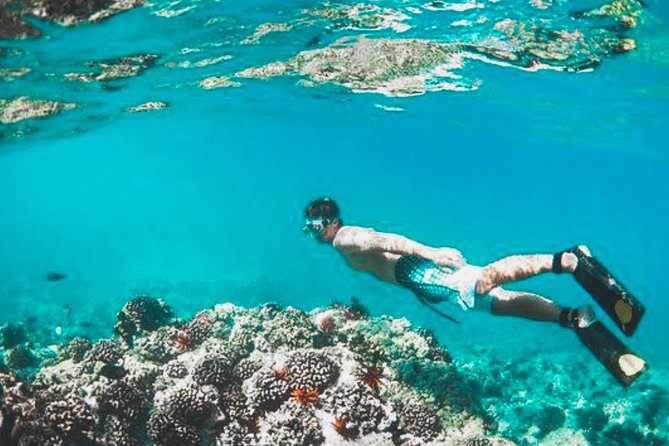 Bali Blue Lagoon Snorkeling - Lunch and Transport All Inclusive - Coffee plantation stop: what you’ll learn and what you might taste