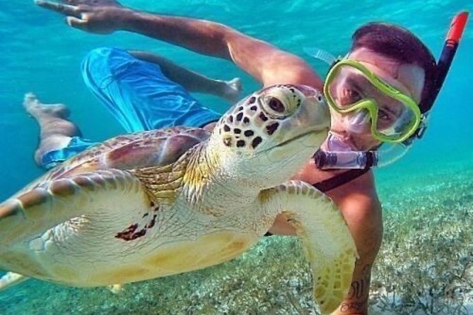 Bali Blue Lagoon Snorkeling - Lunch and Transport All Inclusive - Gear, comfort, and the little things that decide if the day feels easy