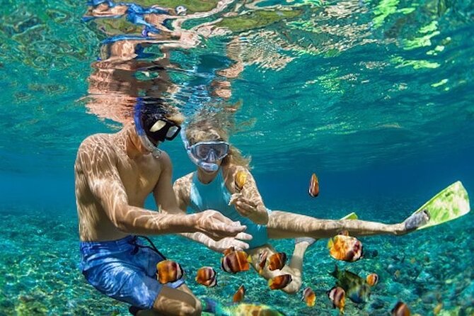 Bali Blue Lagoon Snorkeling - Lunch and Transport All Inclusive - Pickup and road time: how to time your expectations from Seminyak