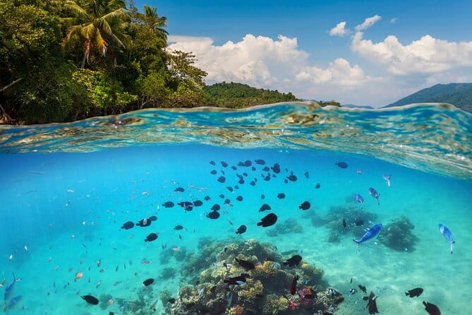 Bali Blue Lagoon Snorkeling Tour All Inclusive - Two snorkeling spots in one outing: how Blue Lagoon and Tanjung Jepun fit