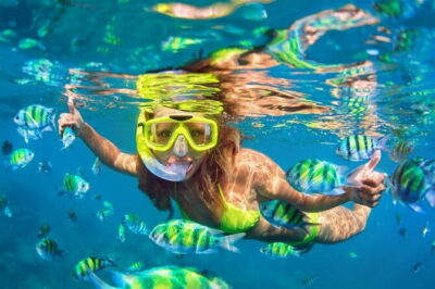 Bali Blue Lagoon Snorkeling Tour All Inclusive - Blue Lagoon snorkeling: coral, fish, and turtle odds