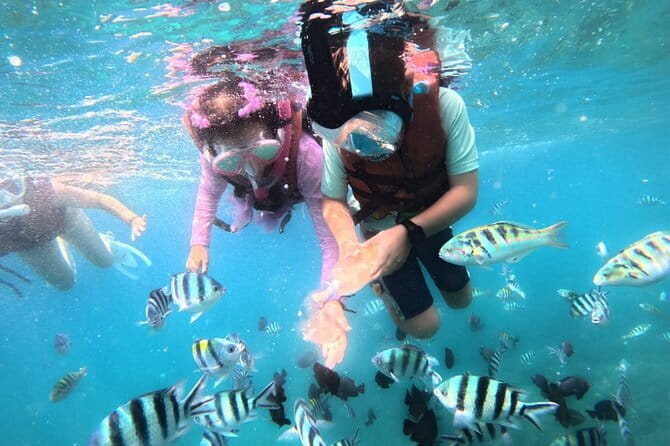 Bali Blue Lagoon Snorkeling Tour All Inclusive - Instructor-guide support: what makes the difference underwater