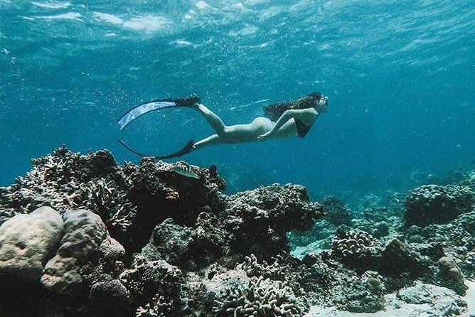 Bali Blue Lagoon Snorkeling Tour All Inclusive - Lunch after snorkeling: why it’s more than just included food