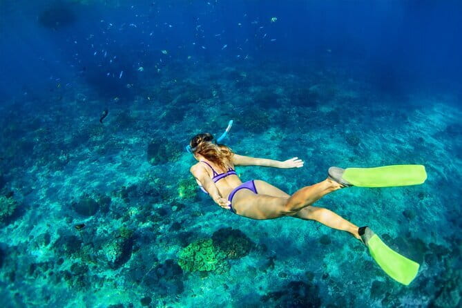 Bali Blue Lagoon Snorkeling Tour All Inclusive - Price and value: is $42 per person a fair deal?