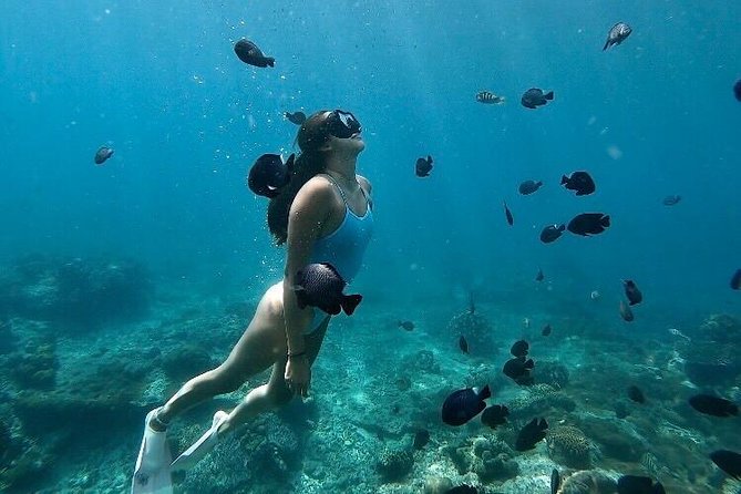Bali Blue Lagoon Snorkeling with Optional Tour & Activities - Blue Lagoon snorkeling in East Bali: the reef is the main character