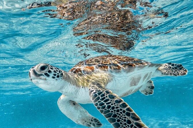 Bali Blue Lagoon Snorkeling with Optional Tour & Activities - Padangbai and Bias Tugel: the coastal steps before you see the reef
