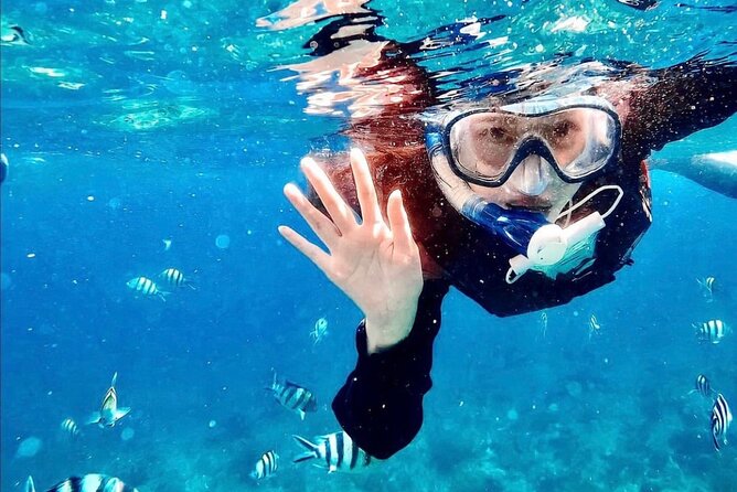 Bali Blue Lagoon Snorkeling with Optional Tour & Activities - Price and value: $12.22 per person, what that really means