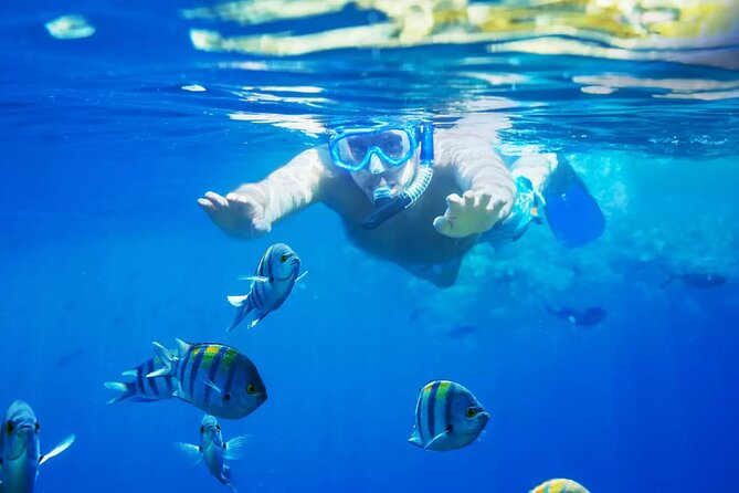 Bali Blue Lagoon Snorkeling with Private Transfer and Lunch - Key highlights worth your attention