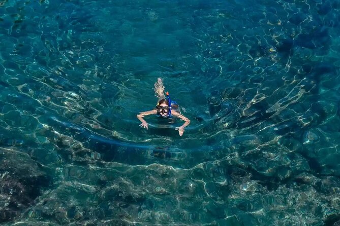 Bali Blue Lagoon Snorkeling with Private Transfer and Lunch - Price and value at $42: what’s included, what you’ll add