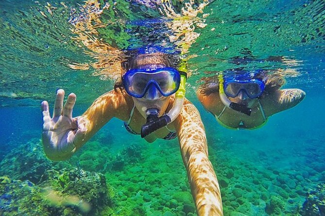 Bali Blue Lagoon Snorkeling with Private Transfer & Lunch - In the water: fish, coral, and the turtle question