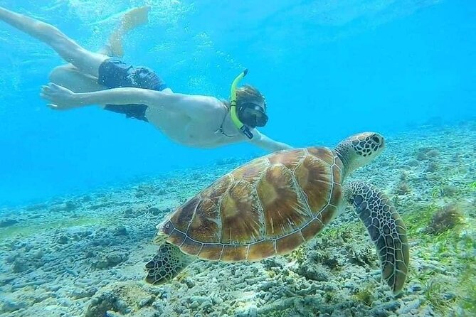 Bali Blue Lagoon Snorkeling with Private Transfer & Lunch - How I’d plan your day (so it feels like a win, not a chore)